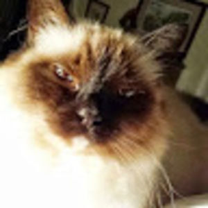 Meet your Posher, Cheryl